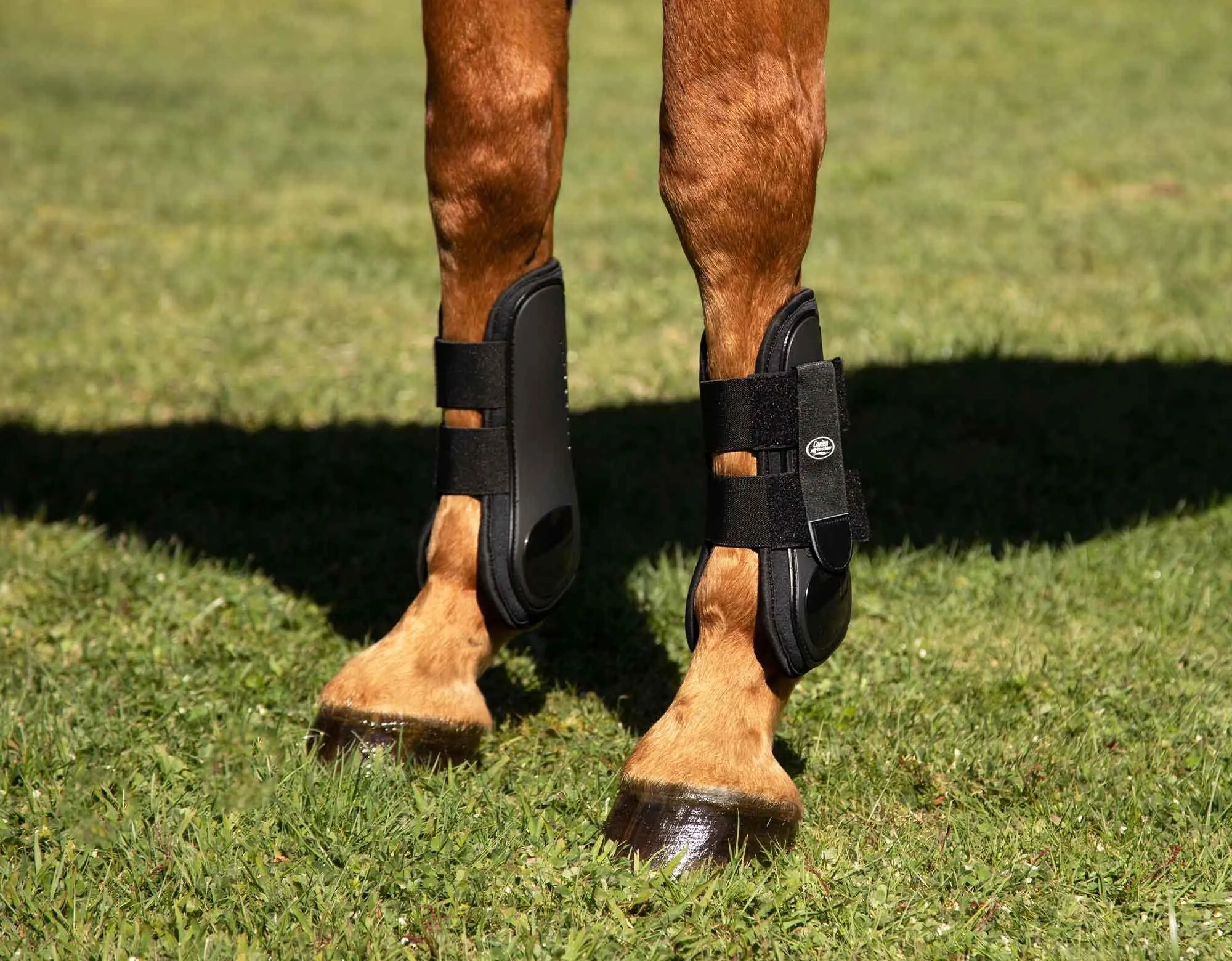 Caribu Tendon Boots Velcro