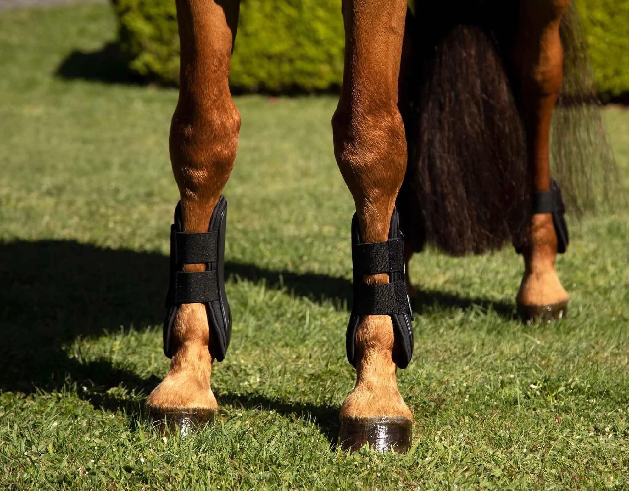 Caribu Tendon Boots Velcro